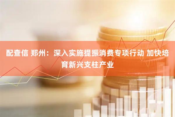 配查信 郑州：深入实施提振消费专项行动 加快培育新兴支柱产业
