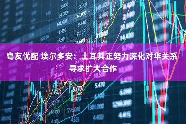 粤友优配 埃尔多安：土耳其正努力深化对华关系 寻求扩大合作