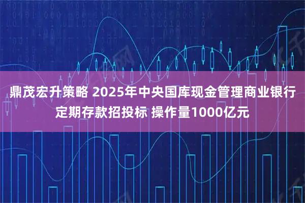 鼎茂宏升策略 2025年中央国库现金管理商业银行定期存款招投标 操作量1000亿元