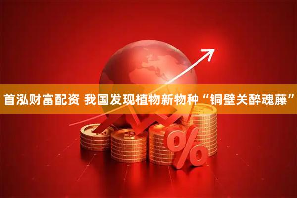 首泓财富配资 我国发现植物新物种“铜壁关醉魂藤”